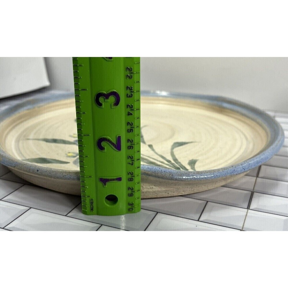 The Potters Gallery Pie Plate By Sue Taylor W/ Irises Modern Farmhouse - Picture 11 of 13